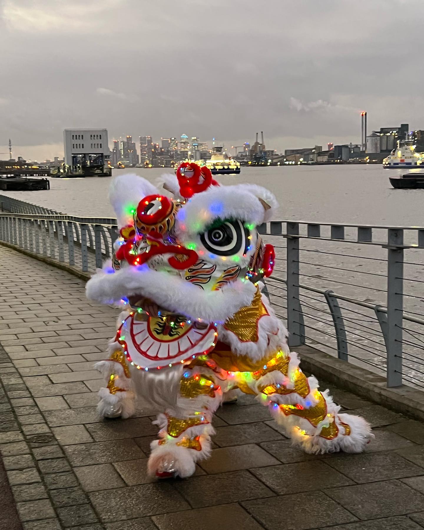 Chinese Lion Costume with Lights