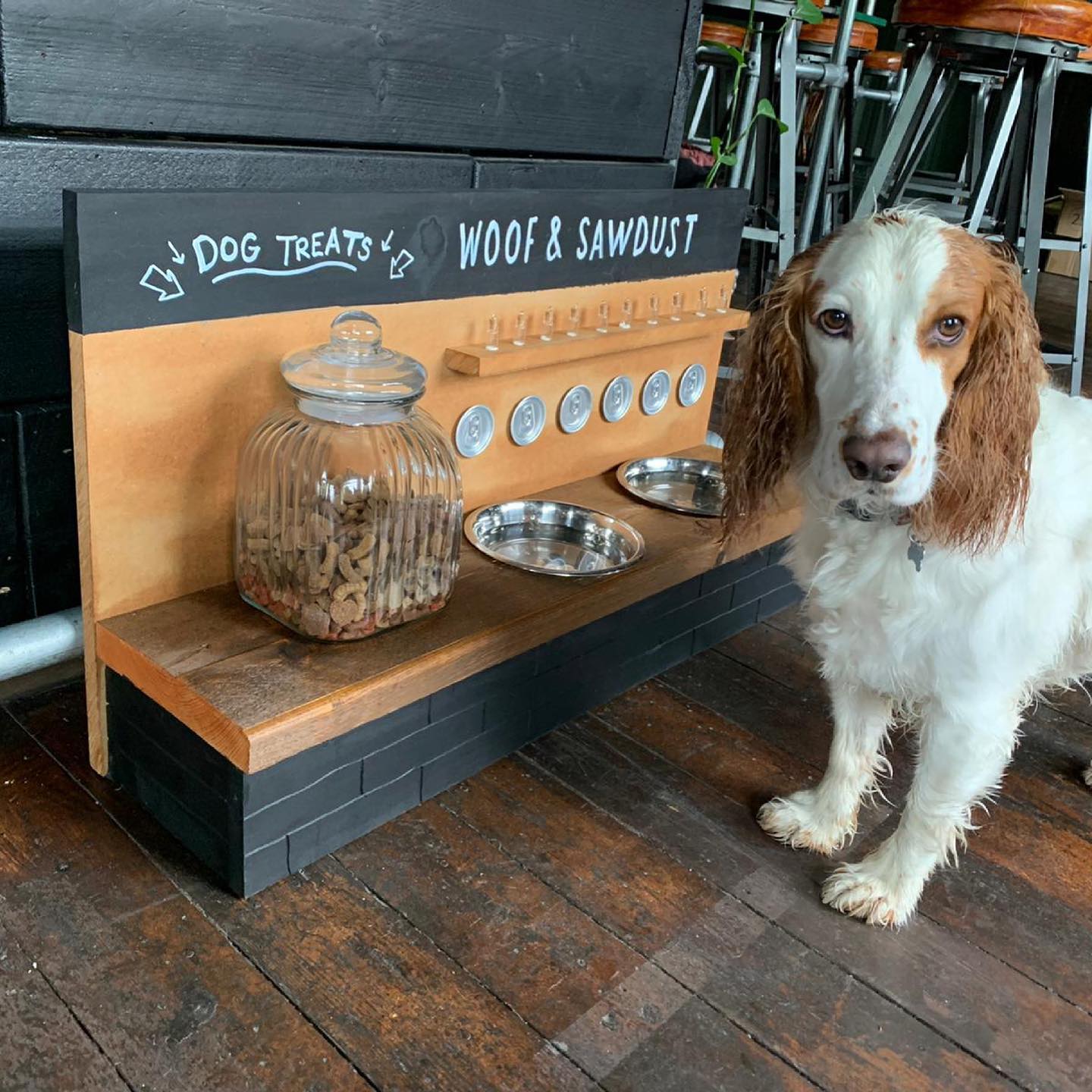 Dog-Friendly-Pub-Venue-in-London