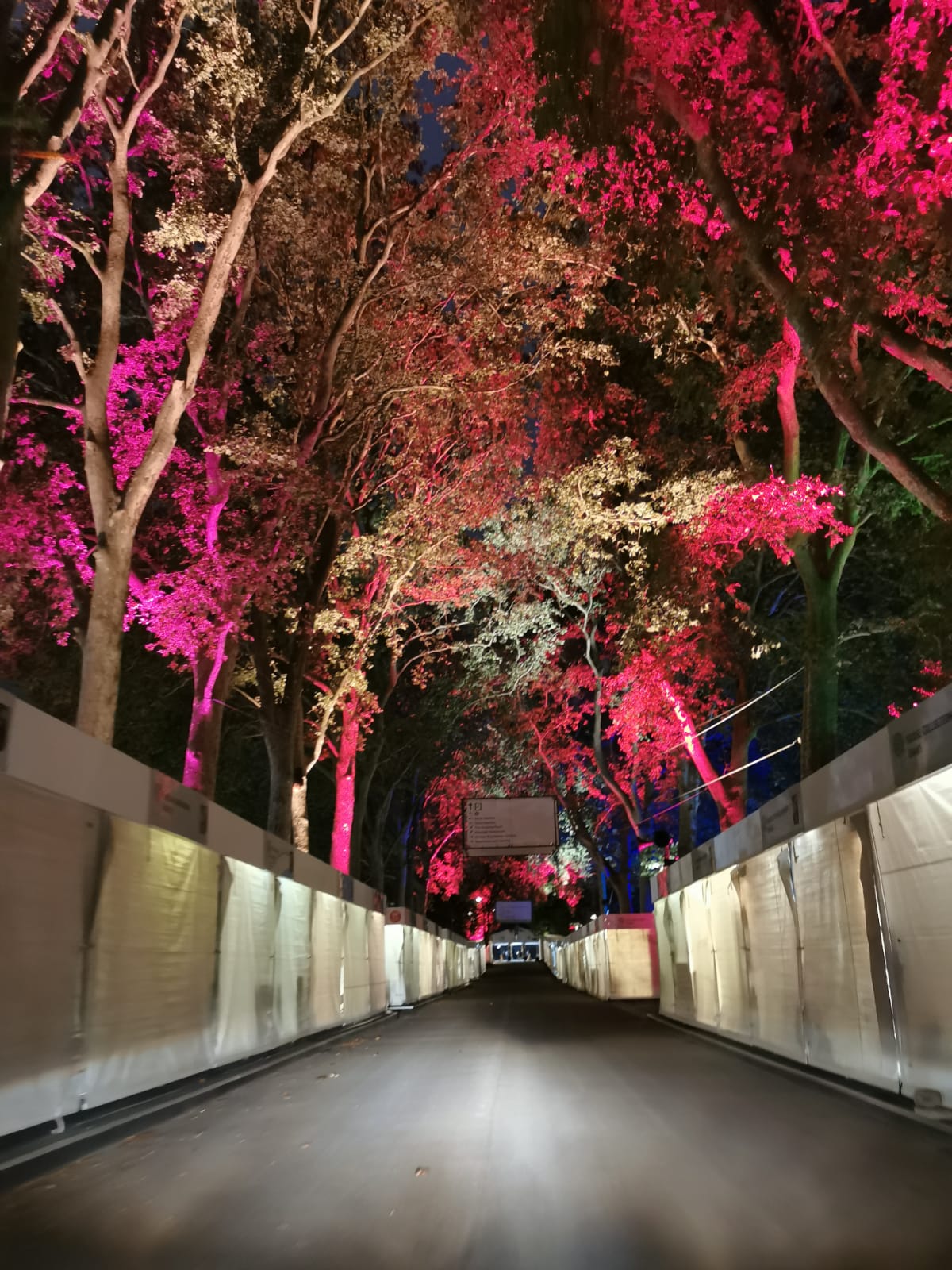 Chelsea-Flowe-Show-Ground-Crew