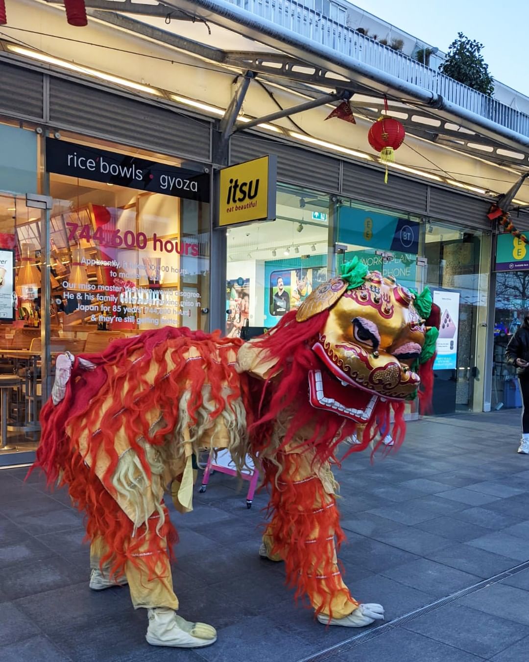 Hire a Chinese Lion