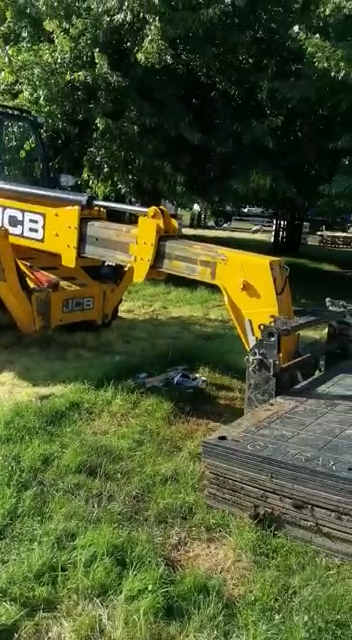 Lovely-Swan-Hampton-Court-Lake