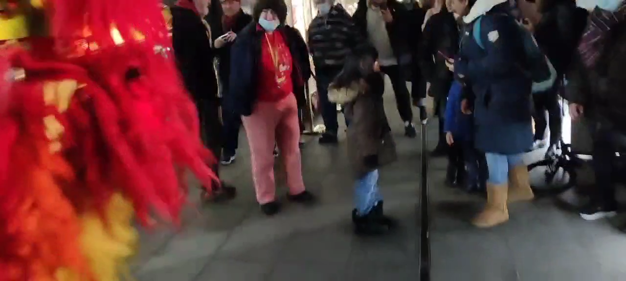 Double Lion Dance Performers Walkabout
