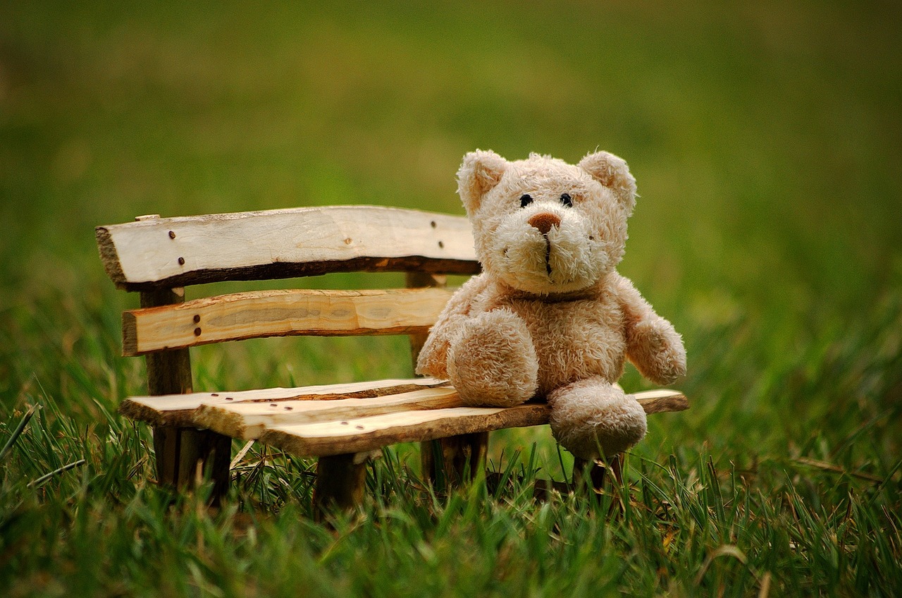 Teddy bear picnic